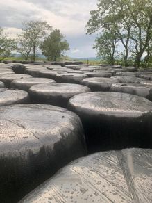 Wrapped Silage Round Bales