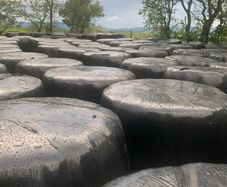 Wrapped Silage Round Bales