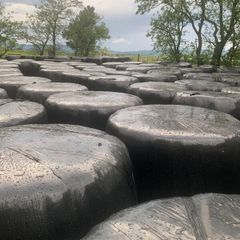 Wrapped Silage Round Bales