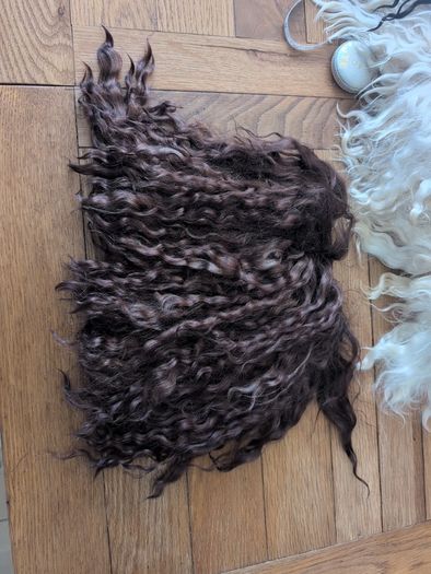 Doll hair Goat skin with long curls
