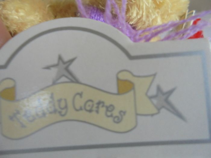 Miniature "Teddy Cares" Teddy Bear for Sale