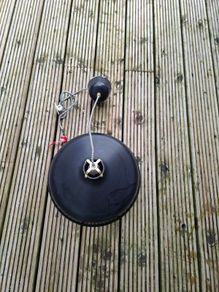 Black pendant light