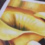 Yellow Cala lylies oil on canvas. Image 4