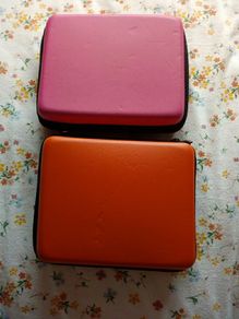 3DS cases