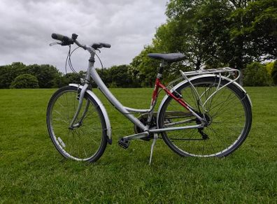Raleigh city bike