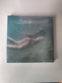 Ichiko Aoba Windswept Adan CD (Adan No Kaze)