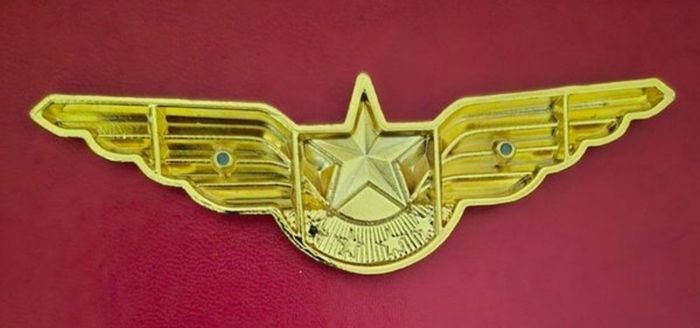 Large size china airlines crew badge.