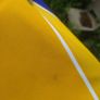 Roscommon Minor jersey 2006 Image 10