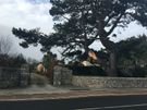 Johnson Tree Services Image 7