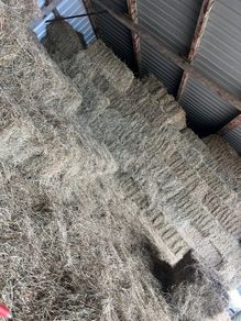 Small square bales of hay(lorry access) delivery
