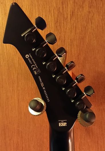 James Hetfield Vulture LTD by ESP