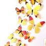 Butterfly Wall Decor Image 4