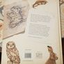 Dr. Hibernica Finch's Compelling Compendium Of Irish Animals by Aga Grandowicz and Rob Maguire Image 3