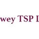 Lowey TSP Ltd