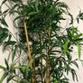 Fake Plant Bamboo tall Ikea Image 2