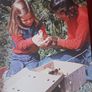 The Complete Book of Raising Livestock & Poultry/ A Smallholders Guide/ 1988 Image 10