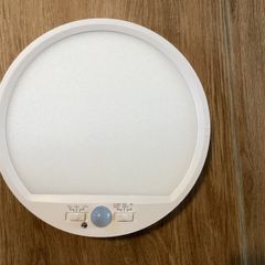 LED ceiling lamp