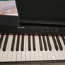 e-piano Alesis Prestige Artist Image 2