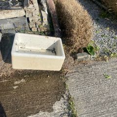 belfast sink