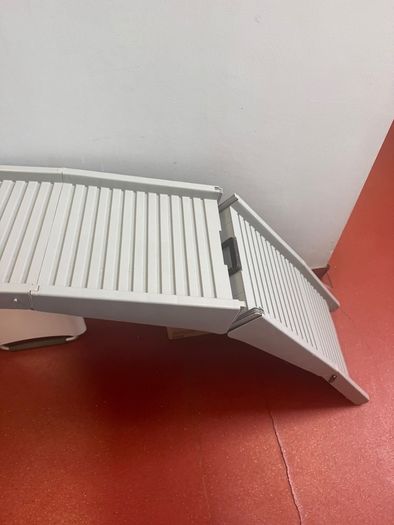 Dog car ramp