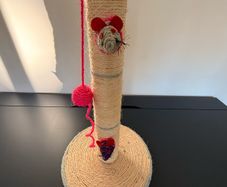 cat scratching post