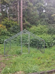 chicken run