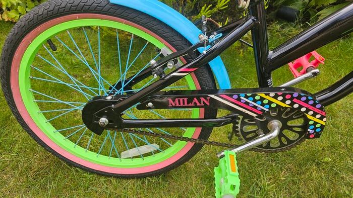 20 Inch Smyths Milan Bike