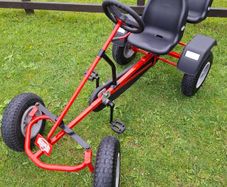Berg go kart