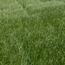 Premium Haylage Kilcock Image 4