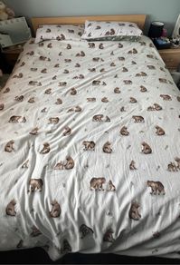 Kingsize bed FREE