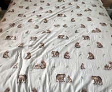 Kingsize bed FREE