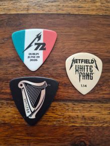Metallica Dublin Guitar pics