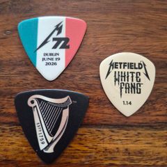 Metallica Dublin Guitar pics