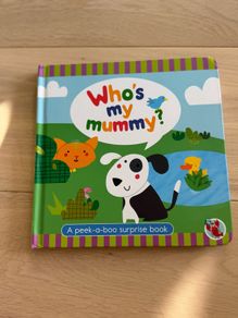 Who's My Mummy? Lift-the-flap book