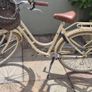 Ladies Bicycle Image 4