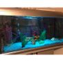 Fish tank Image 3