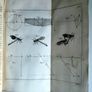 1742. The Philosophical History and Memoirs of the Royal Academy of Sciences at Paris. 1st Edition.  London, First Edition, Octavo, 8vo, Antiquarian, Rare Book, Scientific, Natural Philosophy, French Science, Translation, Abridgment, Copper-Plates. Image 3