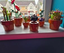 Lego botanicals 10329