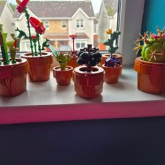 Lego botanicals 10329