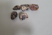 Copal amber