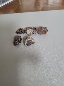 Copal amber