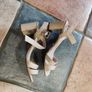 Ladies Shoes (Dune) Image 2