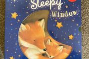 Through the Sleepy Window - Children's Books