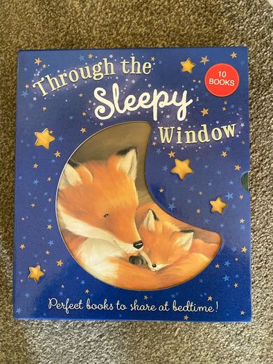 Through the Sleepy Window - Children's Books