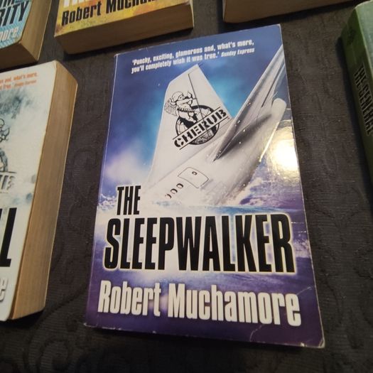 Robert Muchamore novels job lot