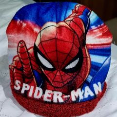 Spider man winter hat boy