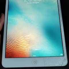 Apple iPad mini 1st Gen Cracked Screen