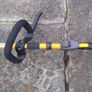 grass cutter Image 3