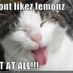 Sour Lemonz
