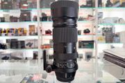 Sigma 100-400 F5-6.3